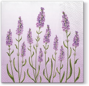 Pl Serwetki Lavender Field