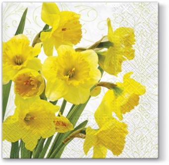 Pl Serwetki Yellow Daffodils 
