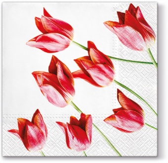 Pl Serwetki Red Tulips