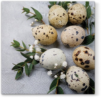 Pl Serwetki Natural Eggs